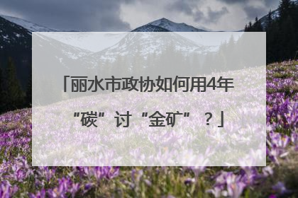 丽水市政协如何用4年“碳”讨“金矿”？